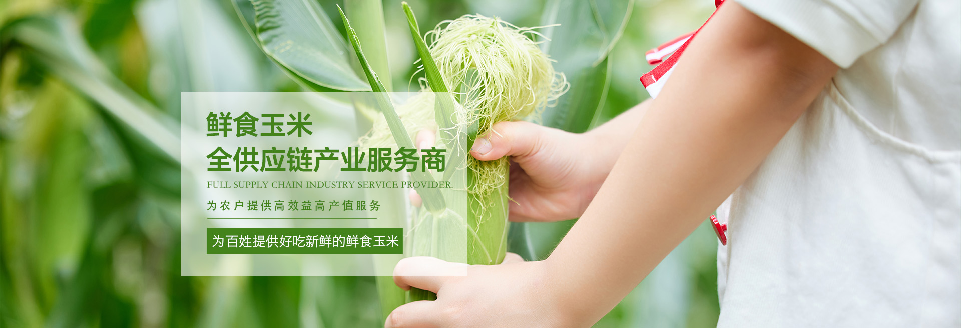 米兰体育在线网站