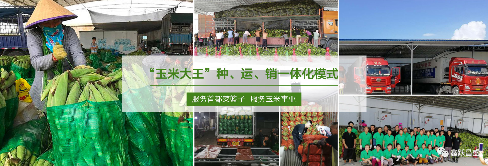 米兰娱乐中国